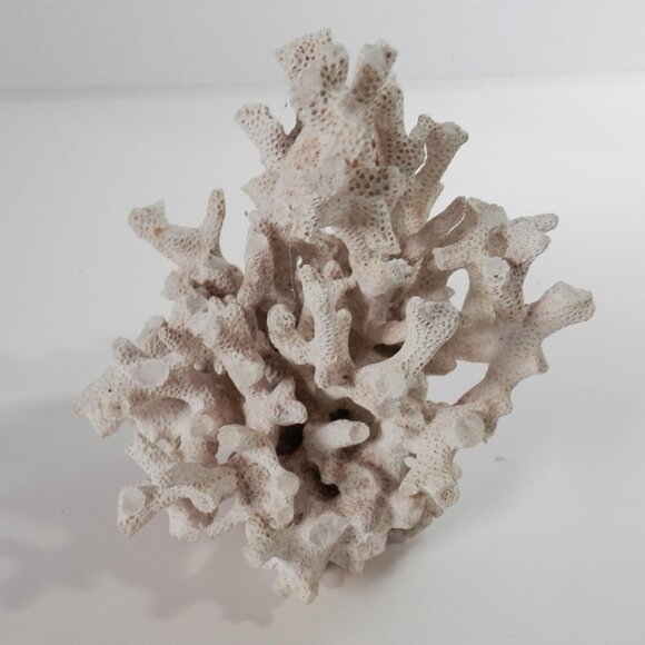 4" Small White Natural Coral Piece Specimen For Decor/Crafts Sea Beach Ocean - Picture 2 of 6